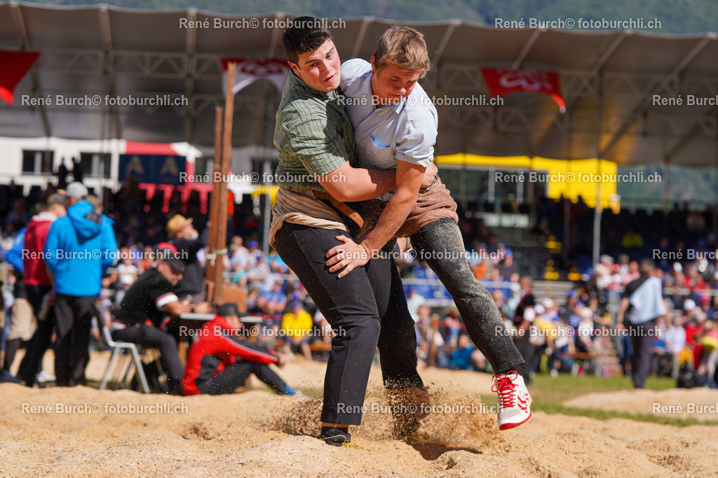 DSC09423 | René Burch leidenschaftlicher Fotograf aus Kerns in Obwalden.  Hier finden sie Sport, Landschaft und Natur Fotografie.
 - Realisiert mit Pictrs.com