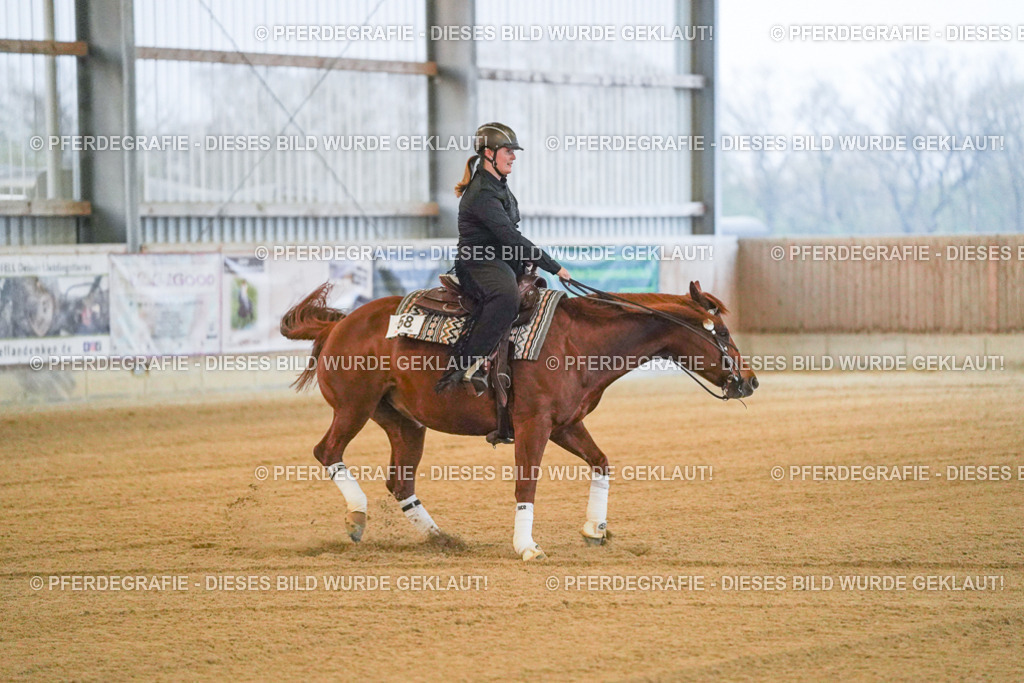 DSC09215 | Pferdegrafie