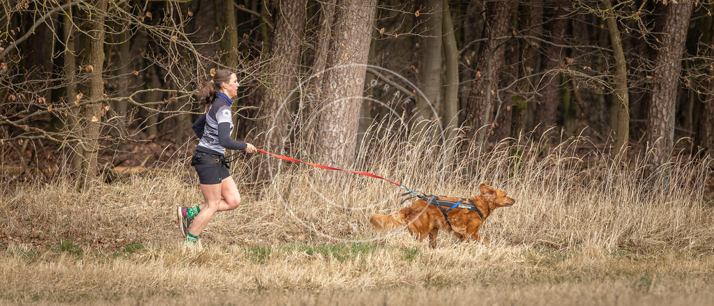 DV3A4208 | Hundefotografie, Tierfotograf, Pfotenfotografie, Fotoshooting Hund, Hunde Portrait, Hundesport, Hundeportraits, Heideshooting, Hunde, Sportfotograf, Hundefotograf, Turnierhundsport, THS,  - Realisiert mit Pictrs.com
