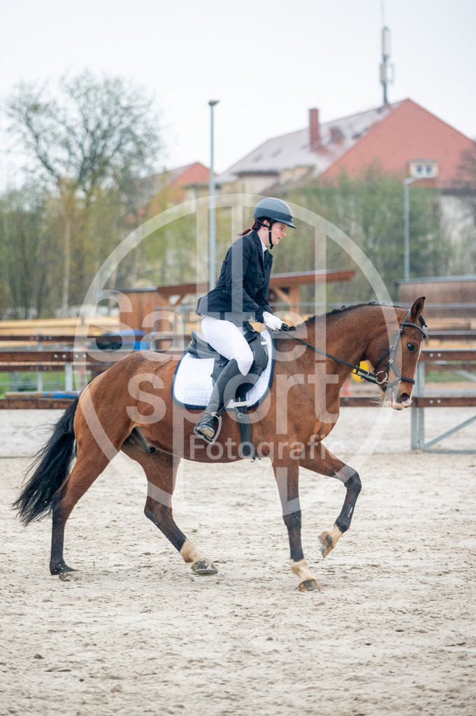 DSC_4916 | sattelsport - Realisiert mit Pictrs.com