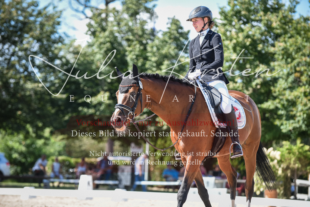 DSC_9507 | Pferde- und Turnierfotografie in Westsachsen. Pferdeportraits, Auftragszeichnungen und intuitive Kunst.