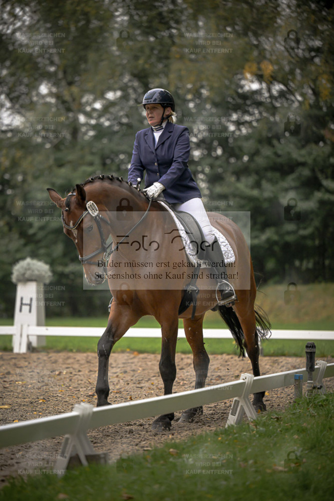 FOTO OGER | Entdecke hochwertige Reitturnierfotos von Foto Oger. Professionell, emotional und authentisch – jetzt Lieblingsmomente im Shop bestellen. - Realisiert mit Pictrs.com