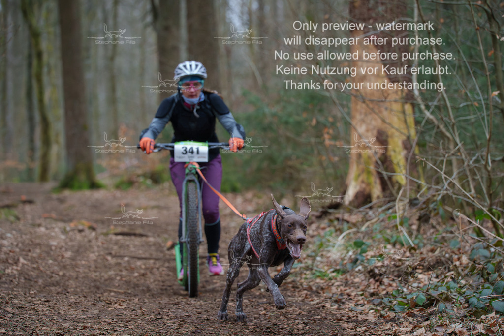 Scooter_So-69 | stephaniefillaphotographie - Realisiert mit Pictrs.com