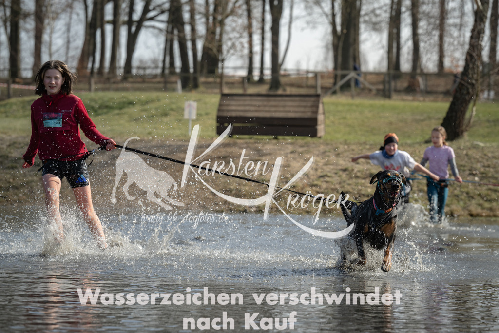 1323_ZZ96018 | kk-dogfotos
