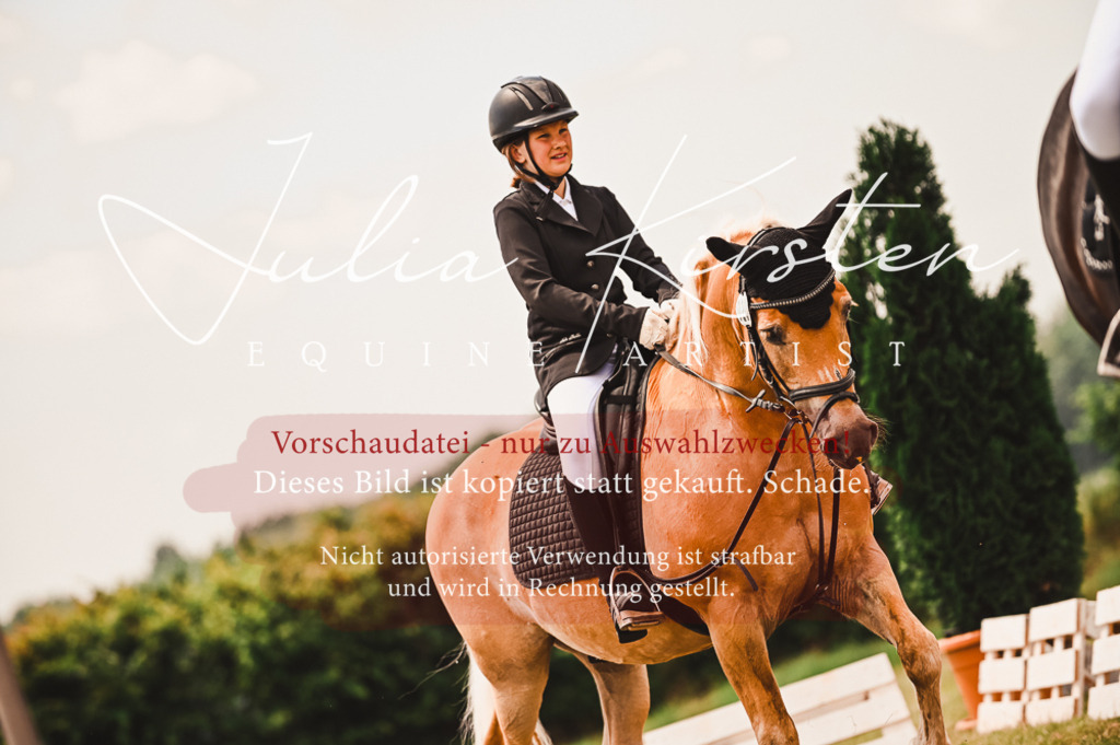 DSC_6354 | Pferde- und Turnierfotografie in Westsachsen. Pferdeportraits, Auftragszeichnungen und intuitive Kunst.