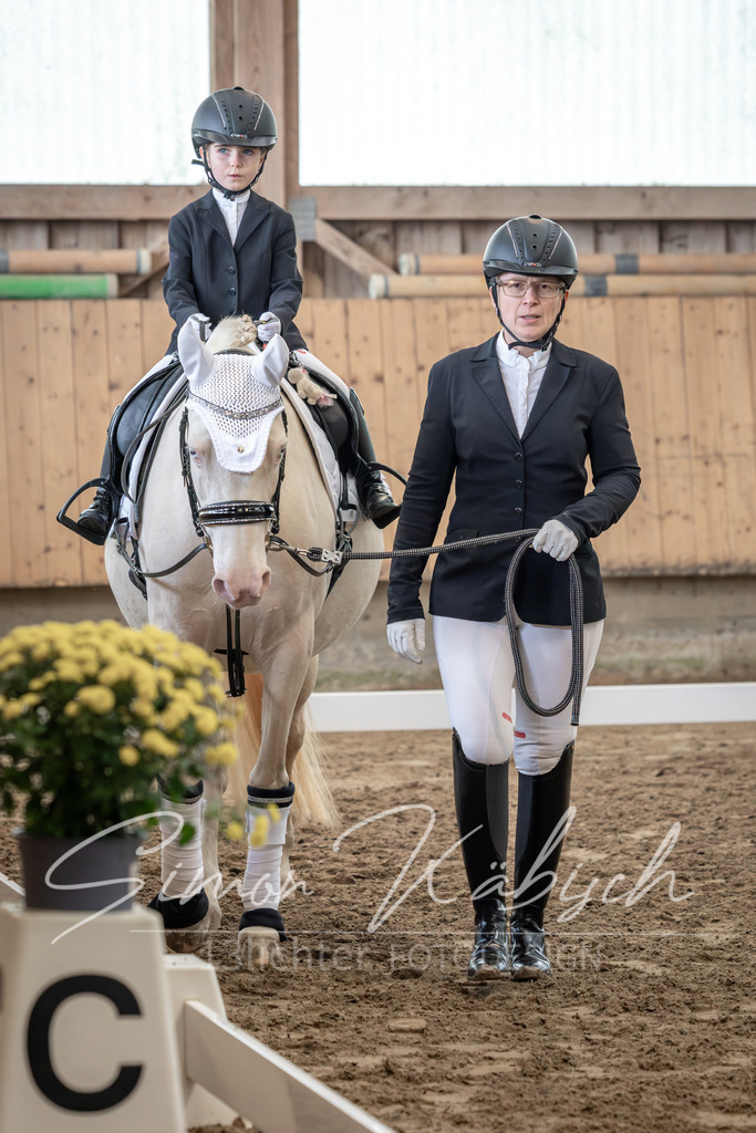 20251011-_3LI8907 | Tierfotografie Pferde, Hunde, Katzen, Haustiere.
Turnierfotografie Reitturniere, Reiten, Springreiten, Dressur in Hanau, dem Main-Kinzig-Kreis und dem Rhein-Main- Gebiet um Frankfurt