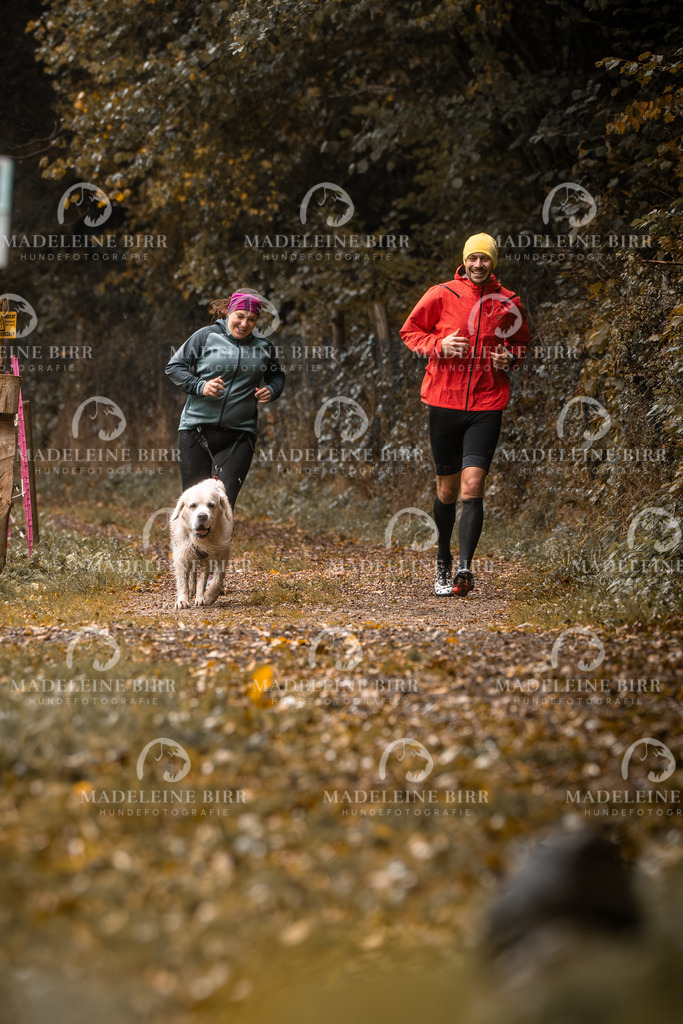 madeleinebirr-fotografie2025.campcanis.sa.10-11Uhr-2 | hundefotografie-birr