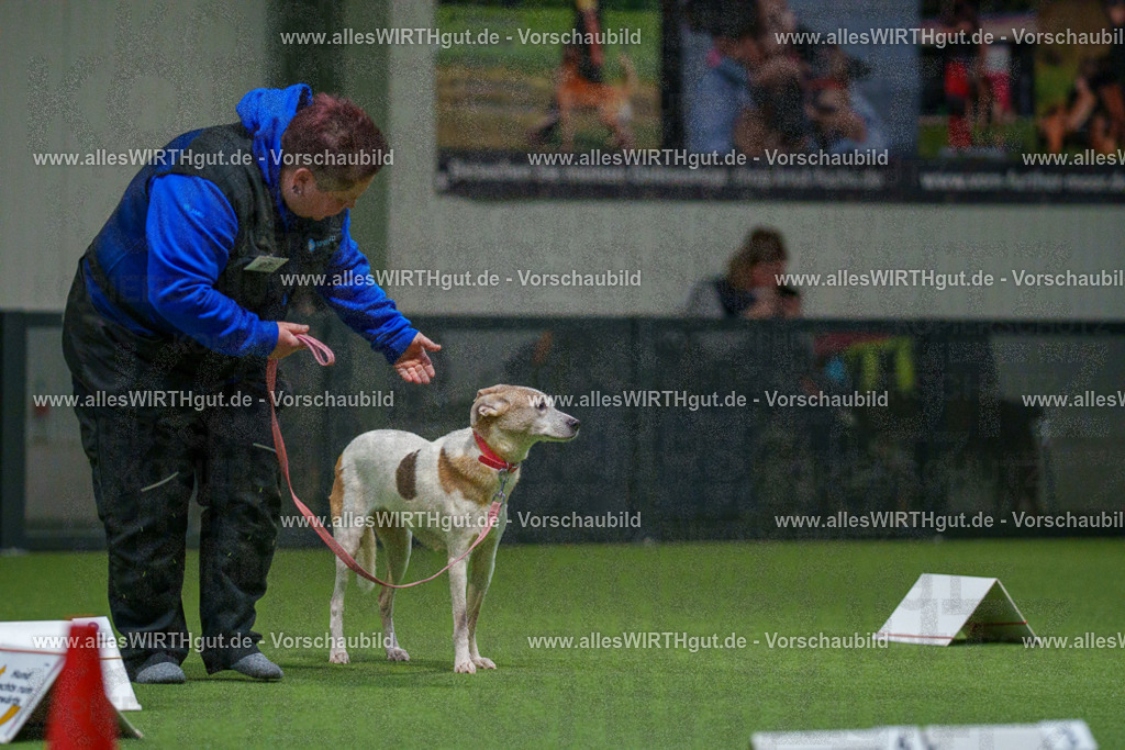 7R504507 | Professionelle Tierfotografie in Mönchengladbach von Daniel Wirth (allesWIRTHgut). Liebevolle & natürliche Bilder von Hunden & Katzen für unvergessliche Erinnerungen.