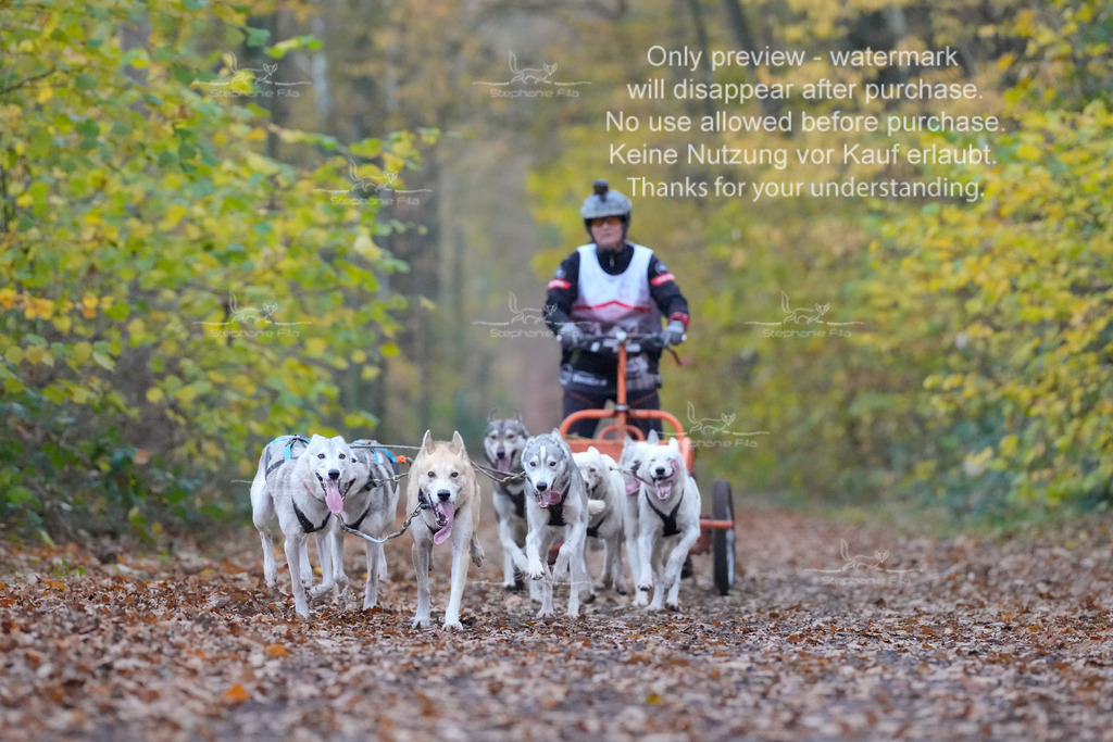 Rigs4bis8So-133 | stephaniefillaphotographie - Realisiert mit Pictrs.com