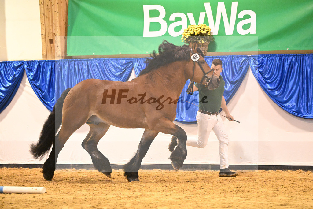 Kat-Nr. 40 Eulenspiegel_Fassbender_53221231 | hf-fotografie - Realizzato con Pictrs.com