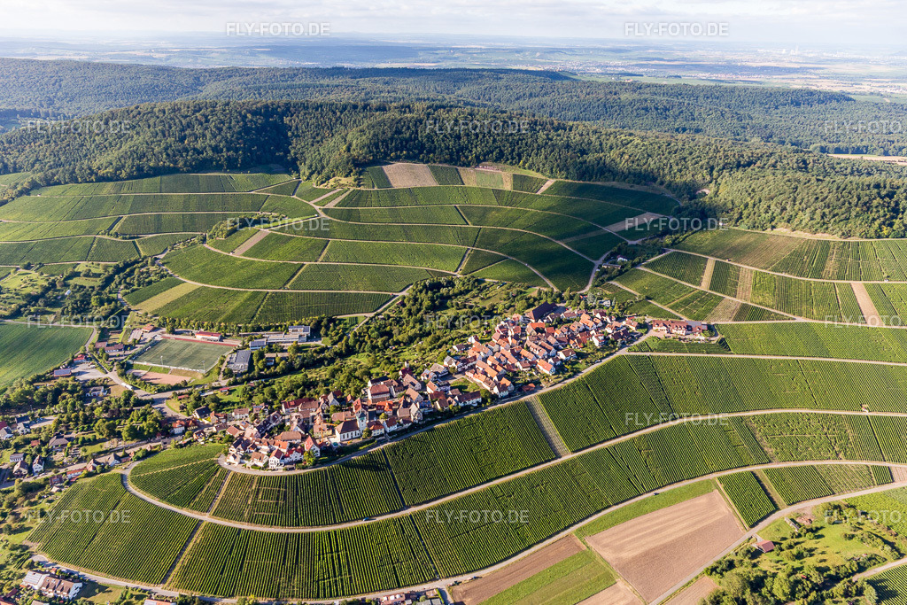 Winzerdorf auf Weinberg  in Hohenhaslach | Luftbild: Winzerdorf auf Weinberg  in Hohenhaslach im Ortsteil Hohenhaslach in Sachsenheim im Bundesland Baden-Württemberg in Deutschland. Foto: IMG_093494.jpg vom 22.08.2016 durch Werner Riehm/FLY-FOTO.de - Realisiert mit Pictrs.com
