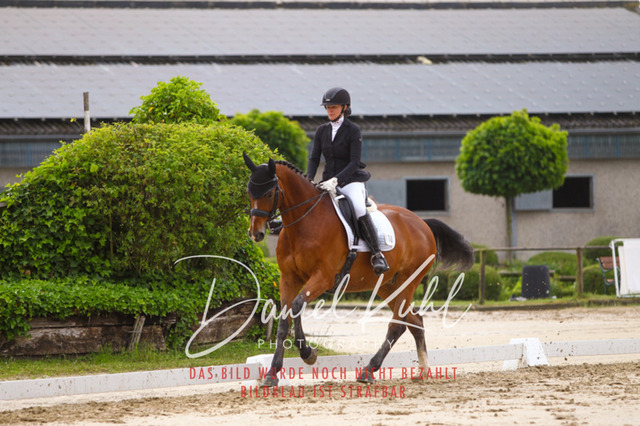 DKP40139 | Turniersportfotografie; Pferdefotografie; Dressurfotografie