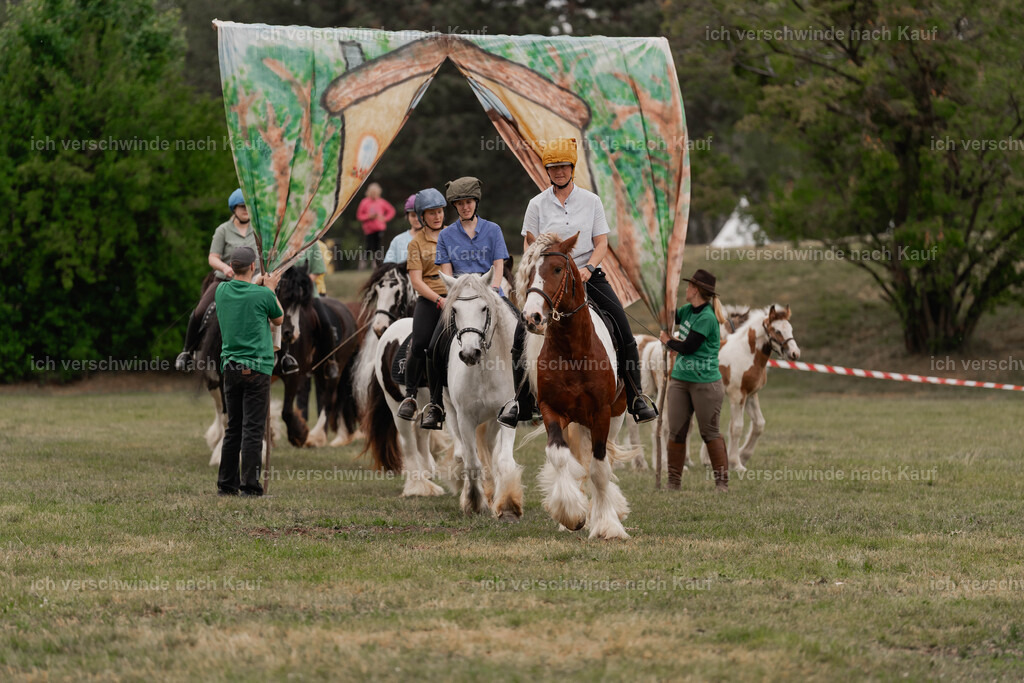 Showprogramm-405 | working equitationturnier fotograf videograf stoibphotography marixx film working equitation deutschland reitsport turnierfotografie eventfotografie equestrian events