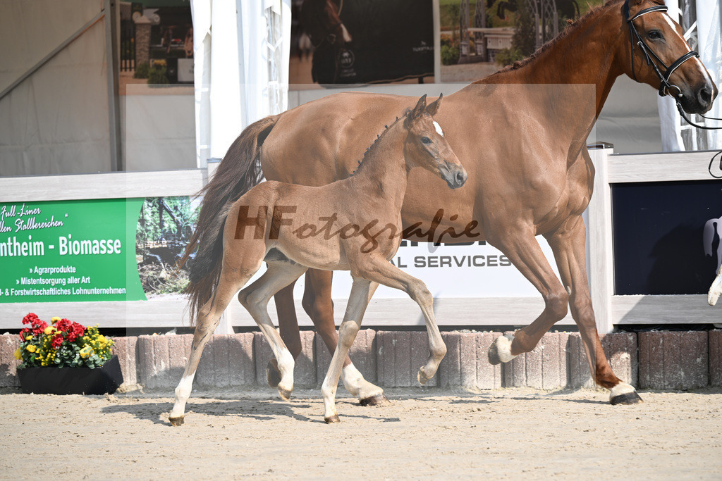 Fuerst Zonik x Vitalis_SF_Haering_12250010 | hf-fotografie - Realizzato con Pictrs.com
