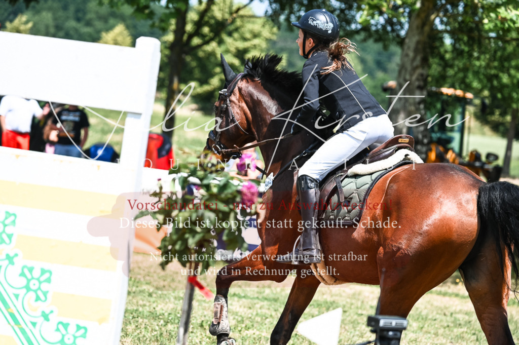 DSC_9871 | Pferde- und Turnierfotografie in Westsachsen. Pferdeportraits, Auftragszeichnungen und intuitive Kunst.