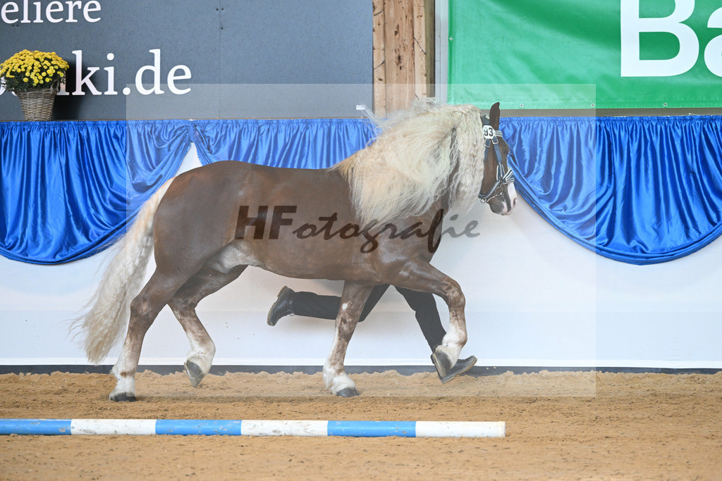 Kat-Nr. 93 Verondo_HLG Schwaiganger_53220580 | hf-fotografie - Realizzato con Pictrs.com