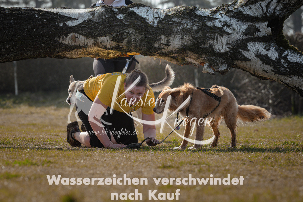 1129_ZZ95344 | kk-dogfotos