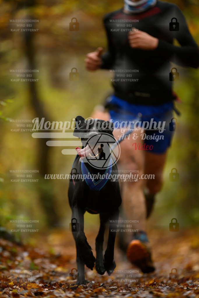 MompixPhotography_CD7S_DI_CCL-22 | mompixphotography