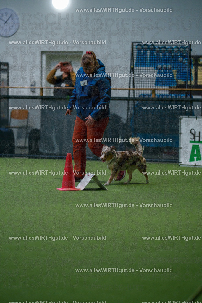 7R500334 | Professionelle Tierfotografie in Mönchengladbach von Daniel Wirth (allesWIRTHgut). Liebevolle & natürliche Bilder von Hunden & Katzen für unvergessliche Erinnerungen.