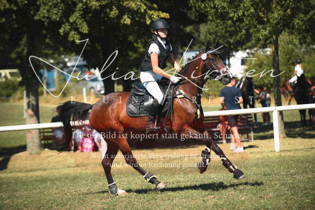 DSC_7201 | Pferde- und Turnierfotografie in Westsachsen. Pferdeportraits, Auftragszeichnungen und intuitive Kunst.
