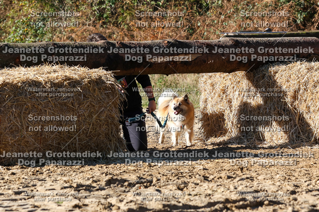 Dog Paparazzi - Strongdog 10-25-2460 | Dog Paparazzi Jeanette Grottendiek Fotografie & Videografie - Realisiert mit Pictrs.com