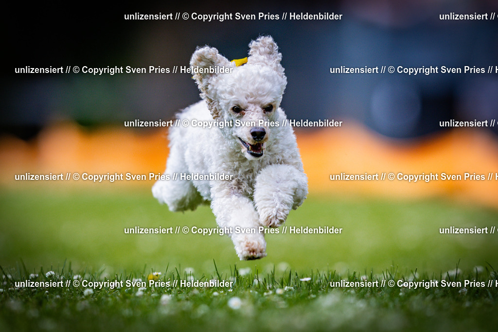 Sven Pries | 2025-05-29 - Pudelrennen KA-Durlach - Realisiert mit Pictrs.com