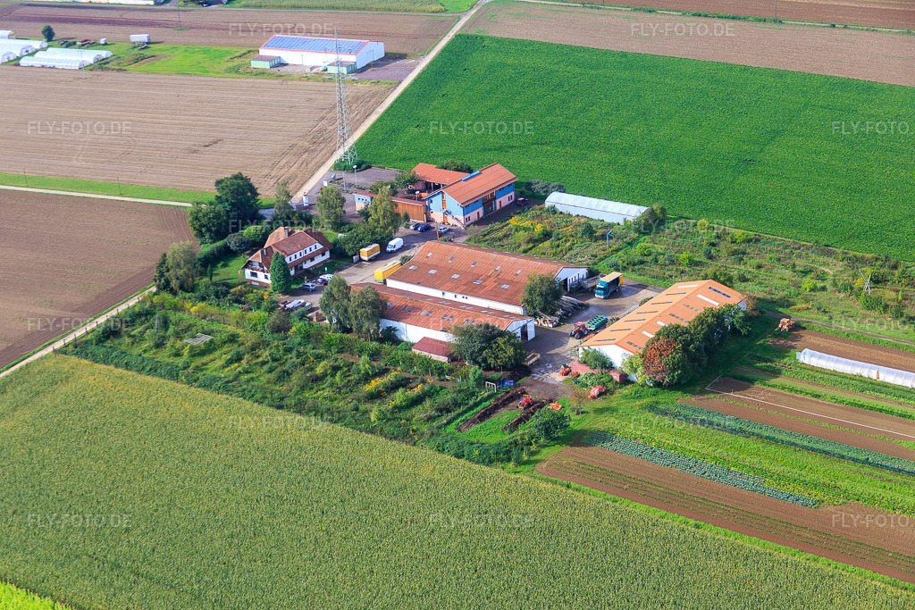 Luftbild: Dorfmarkt Schoßberghof von Michael Groß Landwirtschaft in Minfeld im Bundesland Rheinland-Pfalz in Deutschland. Foto: IMG_072521.jpg vom 19.09.2014 durch Werner Riehm/FLY-FOTO.deSchoßberghof - * Dorfmarkt-Schoßberghof * Bio-Hofladen * Minfeld