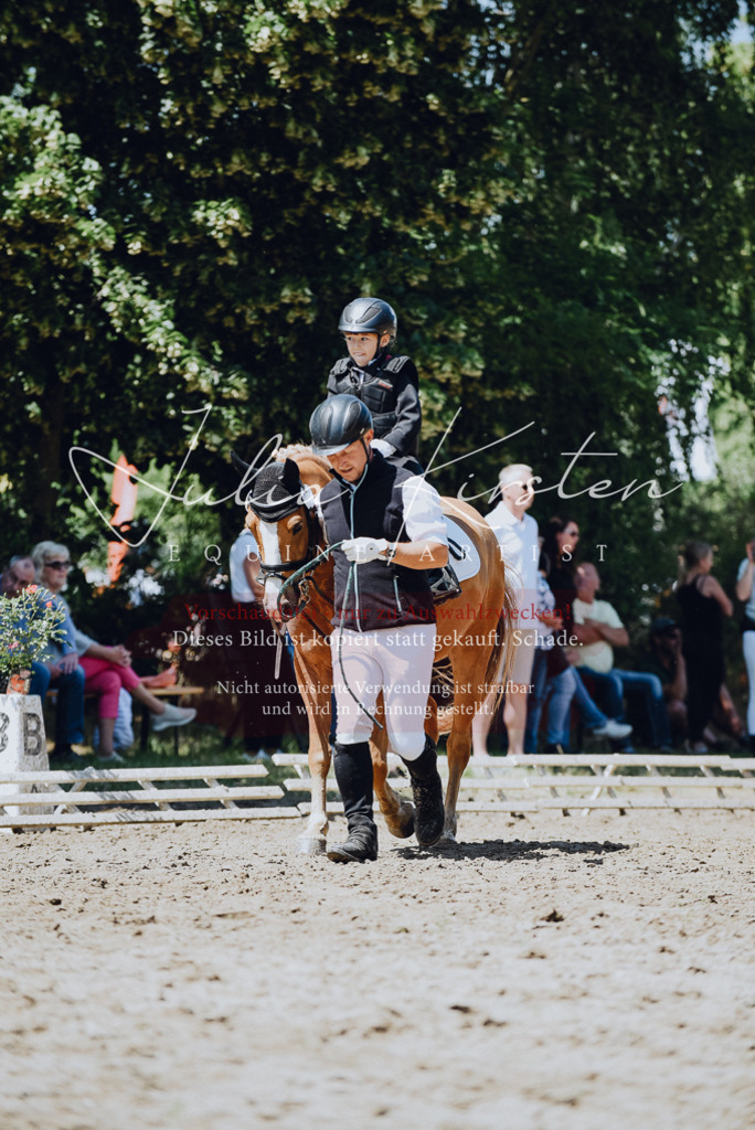 DSC_2532 | Pferde- und Turnierfotografie in Westsachsen. Pferdeportraits, Auftragszeichnungen und intuitive Kunst.