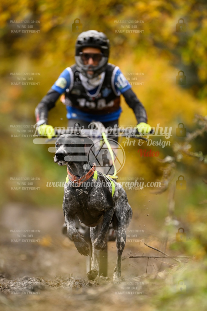MompixPhotography_ICF_WC_2024_SA_Bike_-125 | PayLife