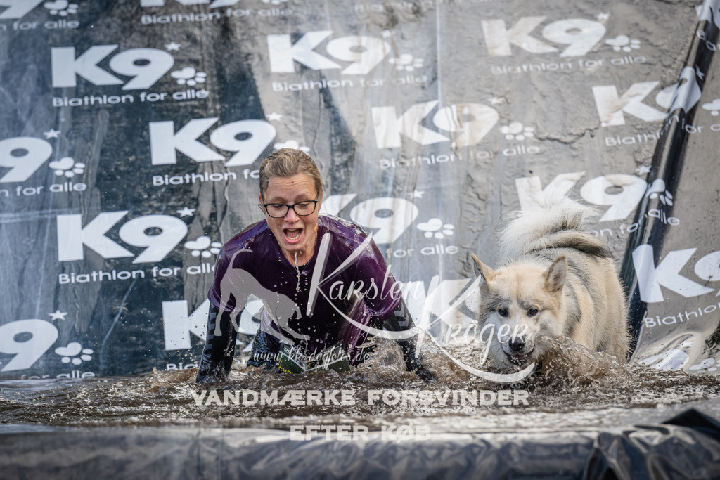 1529_ZZ94686 | kk-dogfotos