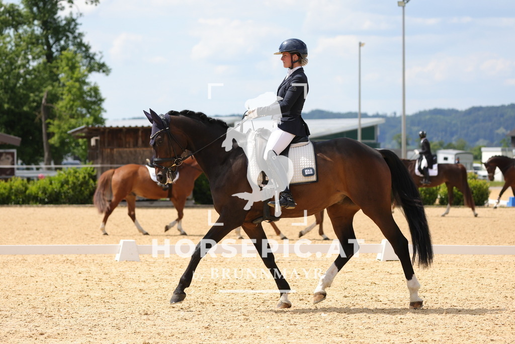 0P6A8752 | Willkommen bei Brunnmayr - Design & Fotografie – Ihrem Spezialisten für Reitturniere und Pferdeveranstaltungen in Oberösterreich, Salzburg und Bayern! Seit über 17 Jahren sind wir leidenschaftlich dabei.