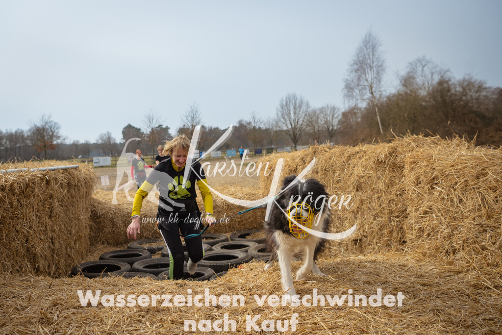 1133_ZZ94156 | kk-dogfotos