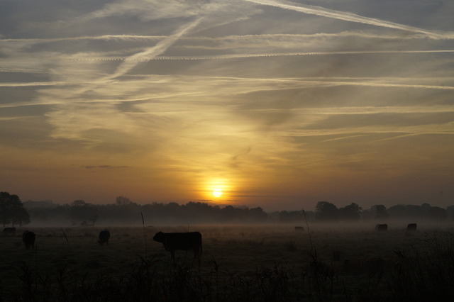 _DSC2512 | Outdoorpixl Teßen OHG - Realisiert mit Pictrs.com
