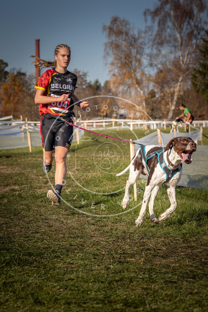 CaniXpix_0L8A8601 | Hundefotografie, Tierfotograf, Pfotenfotografie, Fotoshooting Hund, Hunde Portrait, Hundesport, Hundeportraits, Heideshooting, Hunde, Sportfotograf, Hundefotograf, Turnierhundsport, THS,  - Realisiert mit Pictrs.com