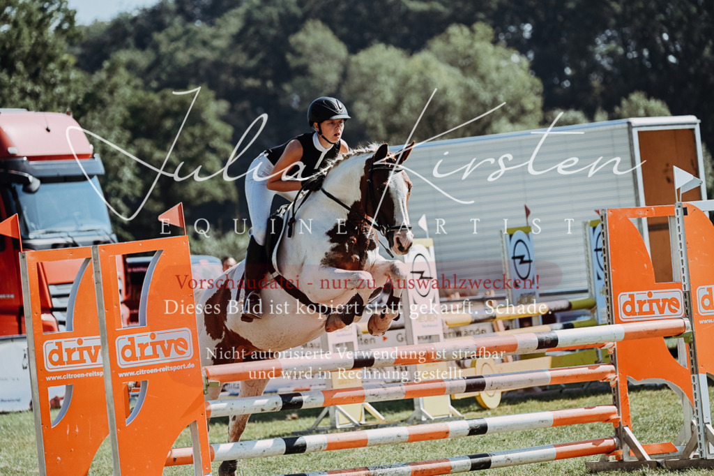 DSC_6060 | Pferde- und Turnierfotografie in Westsachsen. Pferdeportraits, Auftragszeichnungen und intuitive Kunst.