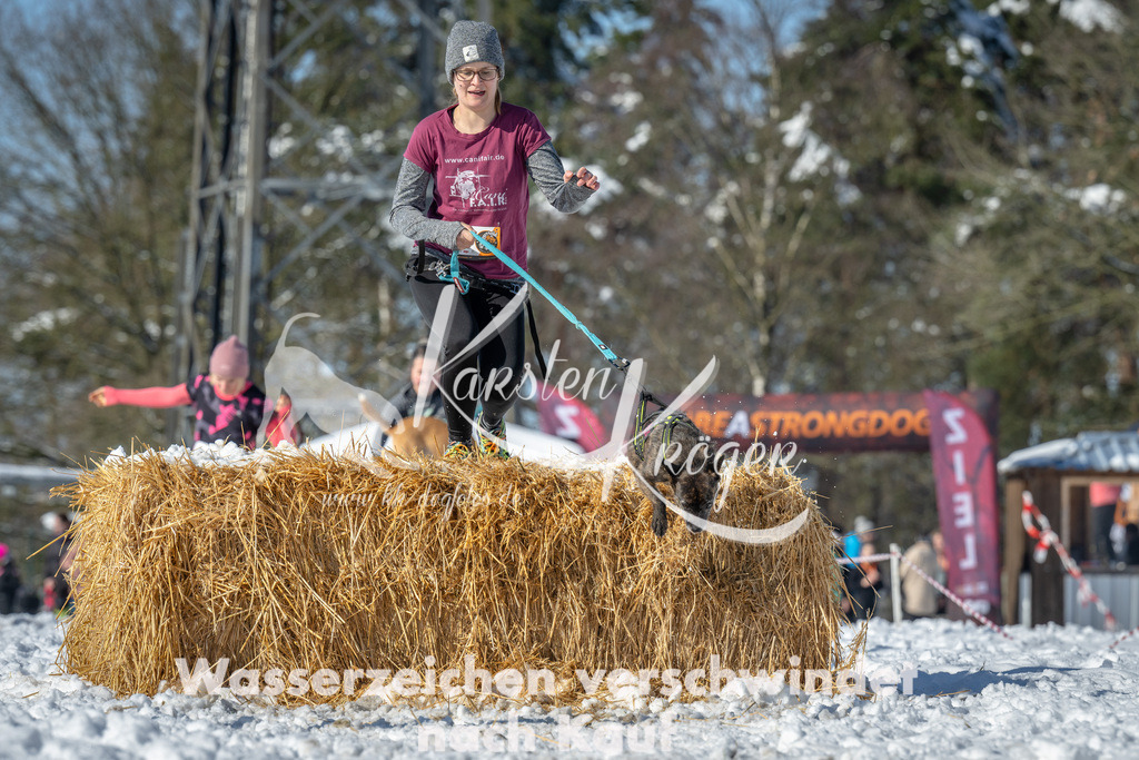 1116_ZZ90929-3 | kk-dogfotos