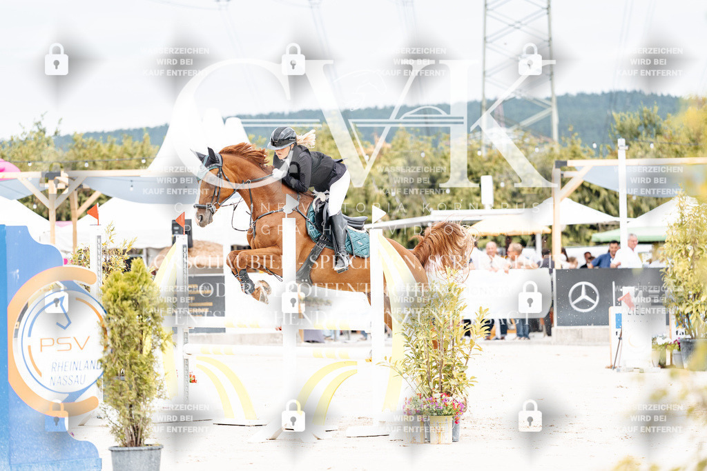 CK906124 | Turnierfotografie Pferdefotografie Trier Rheinland-Pfalz Pferdesport Reitsport Tierfotografie Sportfotografie Pferdevideo Pferdevideografie Equestrianvideography equestrianphotography  - Realisiert mit Pictrs.com