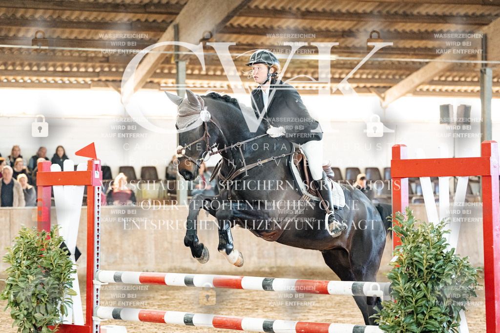 CK904175 | Turnierfotografie Pferdefotografie Trier Rheinland-Pfalz Pferdesport Reitsport Tierfotografie Sportfotografie Pferdevideo Pferdevideografie Equestrianvideography equestrianphotography  - Realized with Pictrs.com
