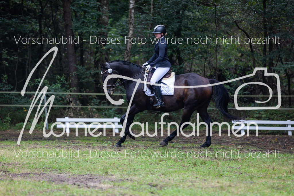 HB-A-Dressur-126 | MomenTaufnahmen Pferdesportfotos