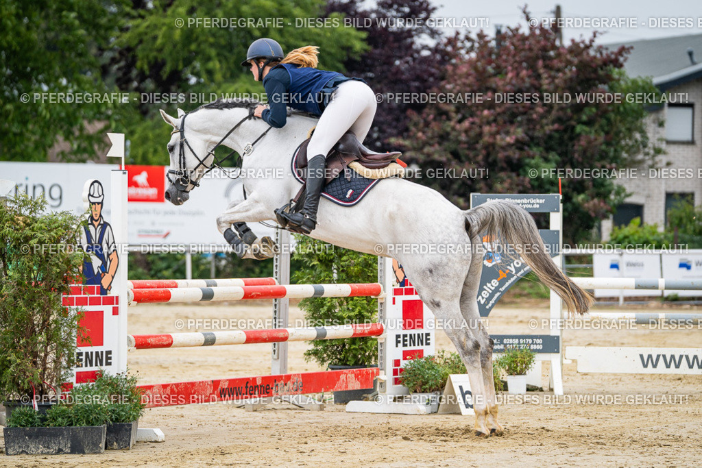 DSC09729 | Pferdegrafie