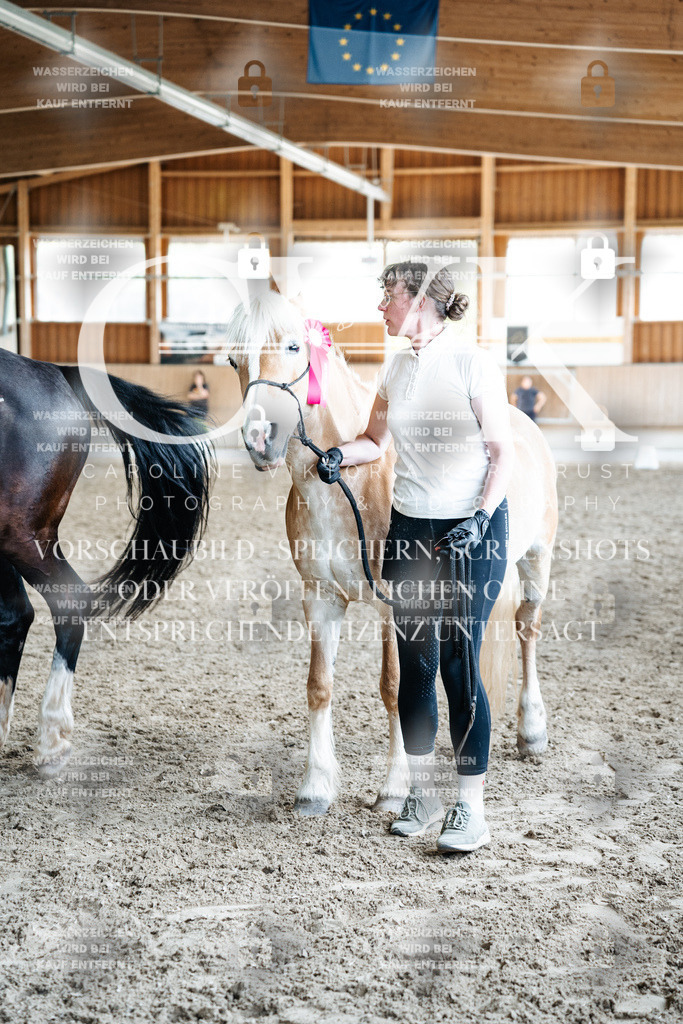 CK703294 | Turnierfotografie Pferdefotografie Trier Rheinland-Pfalz Pferdesport Reitsport Tierfotografie Sportfotografie Pferdevideo Pferdevideografie Equestrianvideography equestrianphotography  - Realized with Pictrs.com