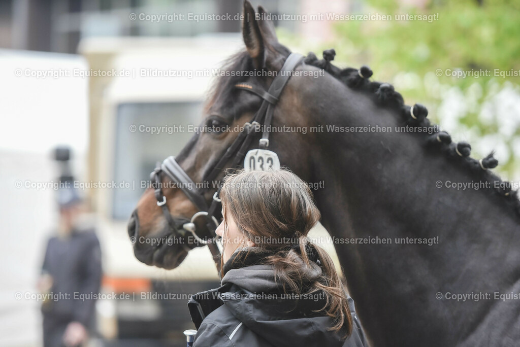 20230514_Impressionen_0082 | equistock