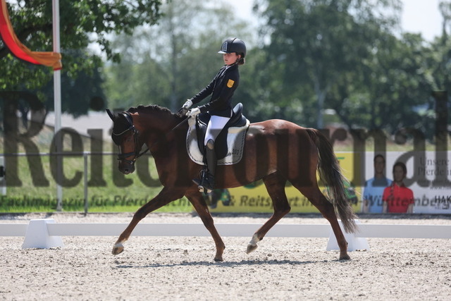 Rot am See_2024_Prfg.Nr.21_Qual.BCH_und_LCH_5-jähr.Ponys_Matilda Buchbach_Dundees Quadriga (9) | Alle Fotos der Reiterjournal Fotografin Doris Matthaes im Reiterjournal Online-Fotoshop. - Realisiert mit Pictrs.com