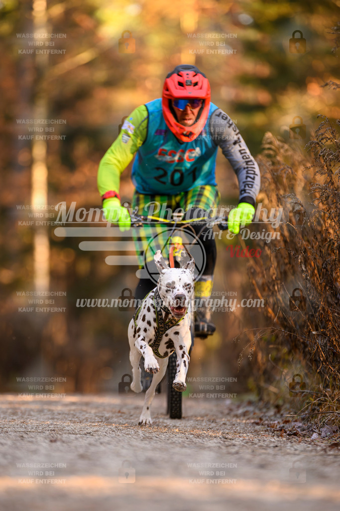 MompixPhotography_DM_AKDM_SO_2025_Bike-183 | PayLife