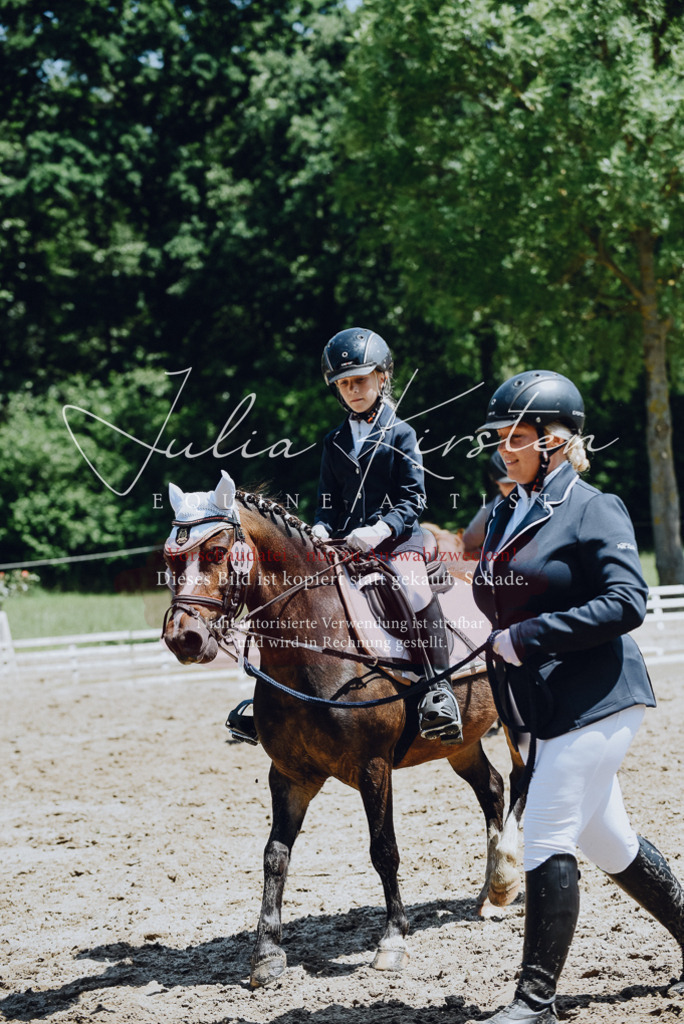 DSC_2123 | Pferde- und Turnierfotografie in Westsachsen. Pferdeportraits, Auftragszeichnungen und intuitive Kunst.