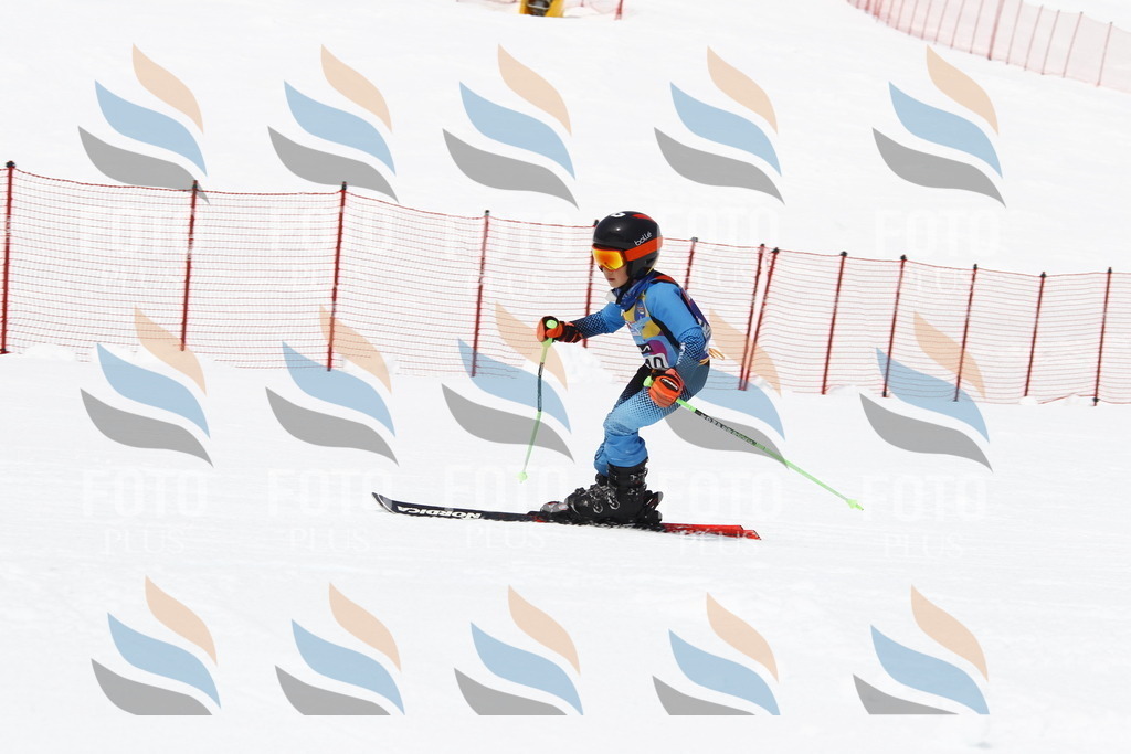 _U3G7717 | holidayphoto