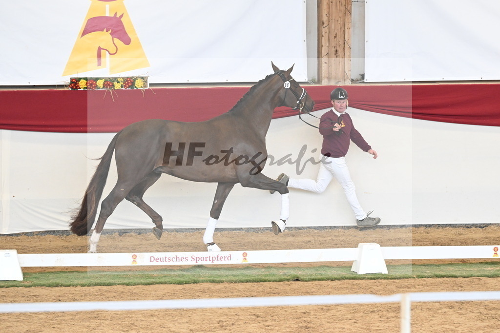Kat.-Nr. 87 v. Vitalis_Kühnle_3261270 | hf-fotografie - Realizzato con Pictrs.com