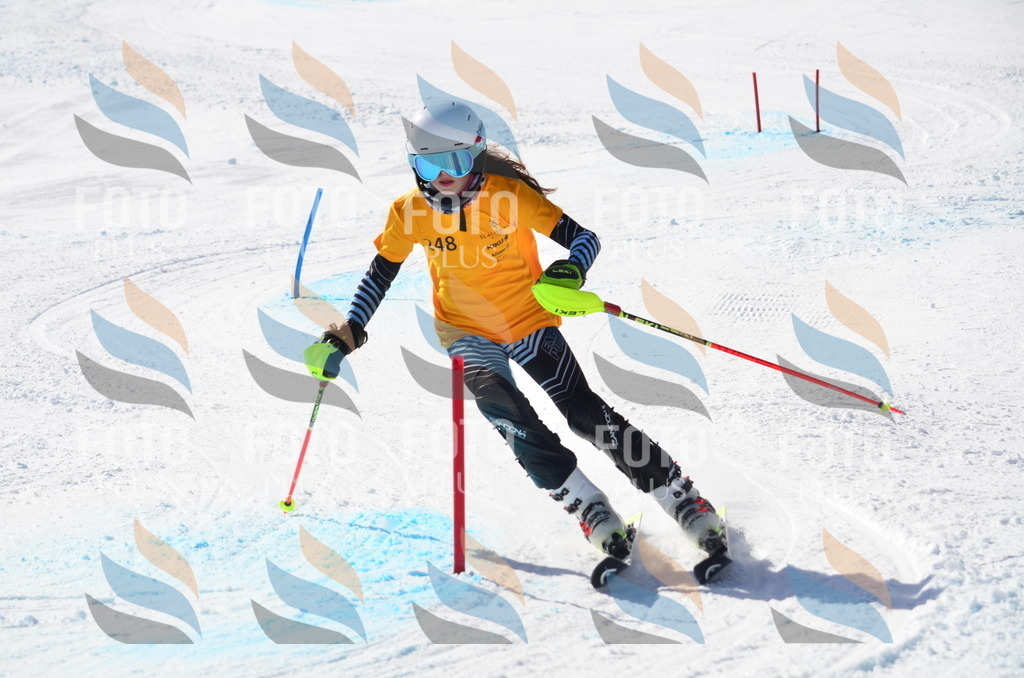 C8429 | holidayphoto