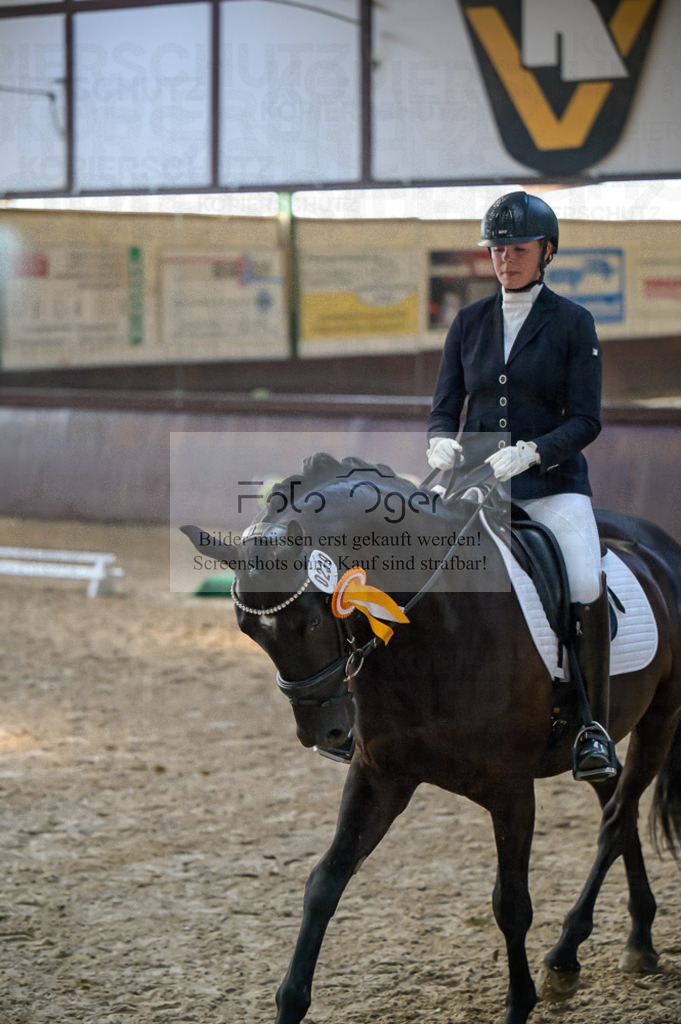 Reitturnier Voxtrup | Entdecke hochwertige Reitturnierfotos von Foto Oger. Professionell, emotional und authentisch – jetzt Lieblingsmomente im Shop bestellen.Deutschlandweite Turnierfotografie. - Realisiert mit Pictrs.com