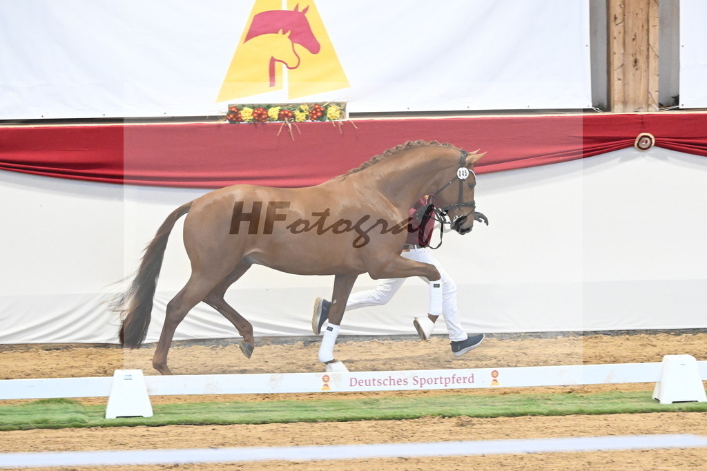 Kat.-Nr. 45 v. Escanto PS_De Vittorio und Stechele_3260372 | hf-fotografie - Realizzato con Pictrs.com